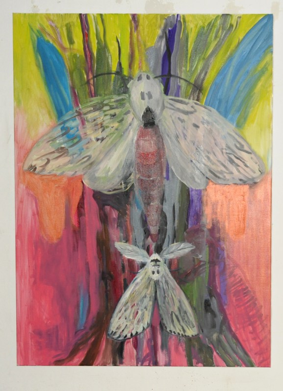 URC YWF_2318a © York Wegerhoff